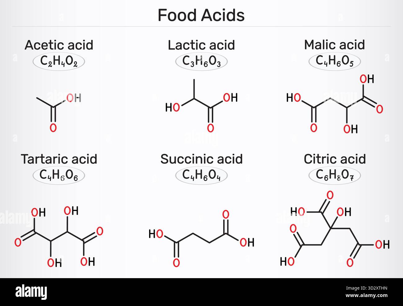 Molécules d'acides alimentaires. Acide acétique (E260), acide lactique (E270), acide citrique (E330), acide malique (E296), acide succinique (E363), acide tartrique (E334). Vecto Illustration de Vecteur