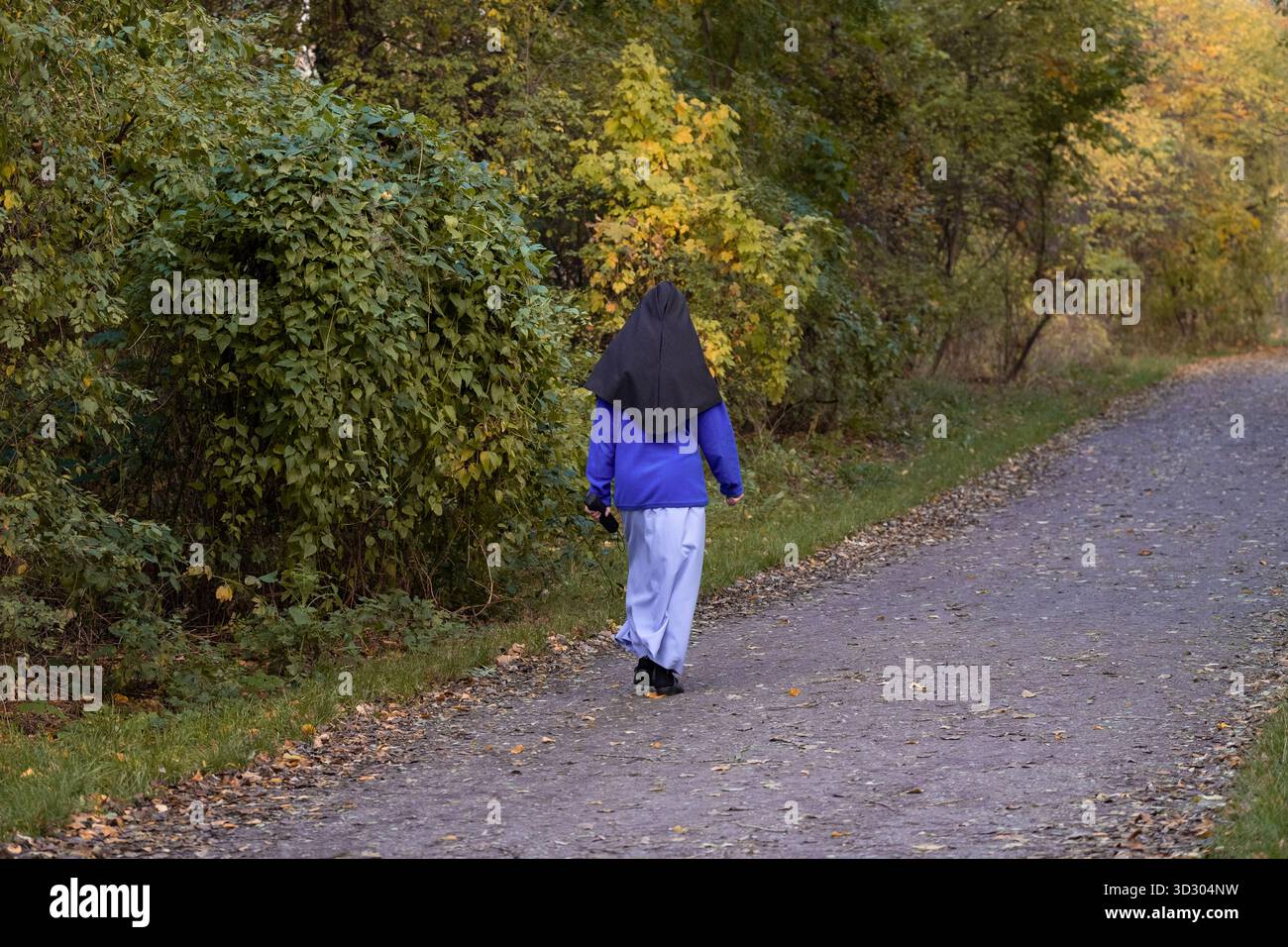 Nonne marchant sur un chemin forestier en automne Banque D'Images