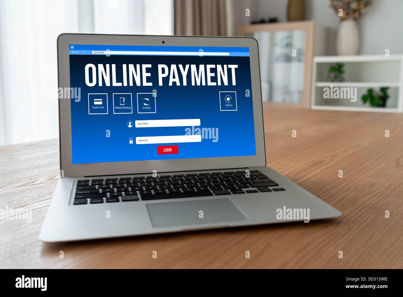 Plate-forme de paiement en ligne pour le transfert d'argent modish sur Internet netowrk Banque D'Images