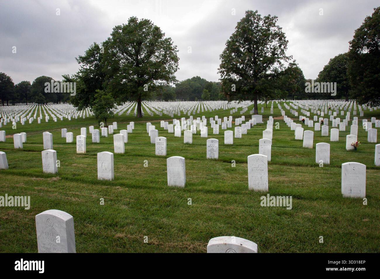 Les funérailles du sergent Ryan E. Doltz ont lieu au cimetière national d'Arlington à Arlington, en Virginie, le 16 juin 2004. Doltz a été tué au combat alors qu'il servait comme policier militaire en Irak avec le 3e bataillon du 112e régiment d'artillerie de campagne de la Garde nationale de l'armée du New Jersey. (Photo de la U.S. Air National Guard par Tech. Le sergent Mark C. Olsen) Banque D'Images