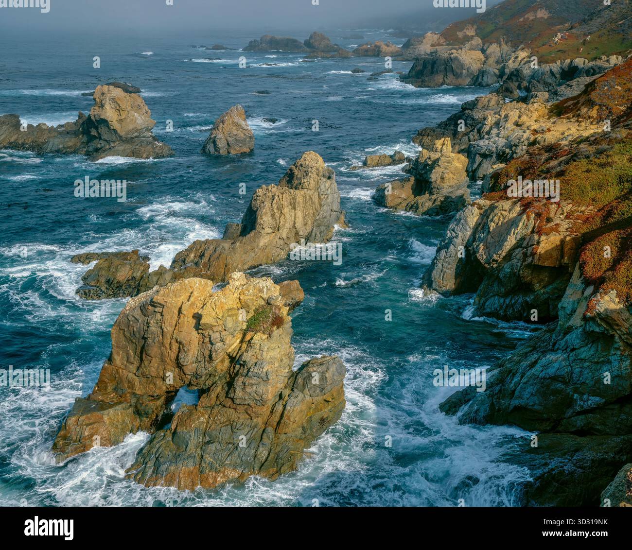 Surfez, Arch Rock, Garrapata State Park, Big Sur, Monterey County, Californie Banque D'Images