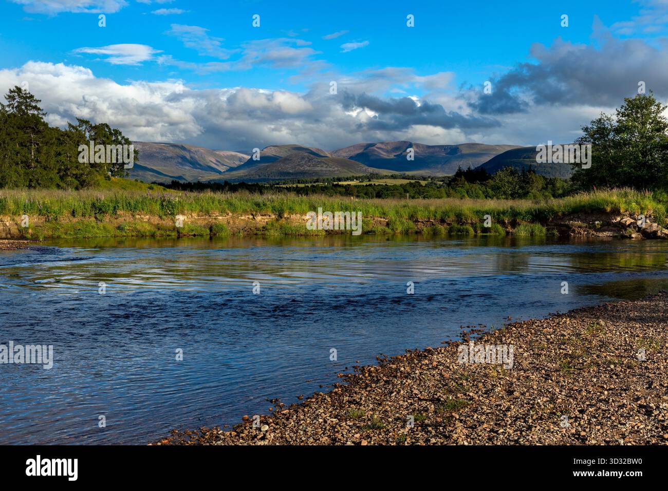 River Spey ; Aviemore ; Highlands ; Écosse ; Royaume-Uni Banque D'Images