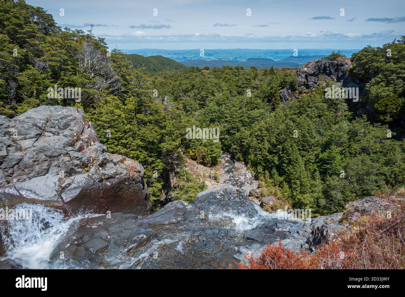Mangwhero Falls, en vedette dans les rôles de Gollums Pool, Forbidden Pool et Ithilien dans LOTR, Ohakune Mountain Road, Mount Ruapehu, Tongariro NP, North Island, NZ. Banque D'Images