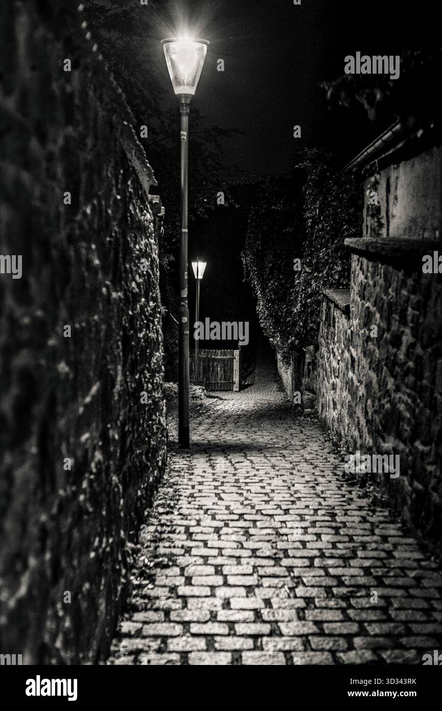 Vue atmosphérique en noir et blanc de l'étroite ruelle pavée avec lampadaires la nuit, Radebeul près de Dresde, Saxe, Allemagne Banque D'Images