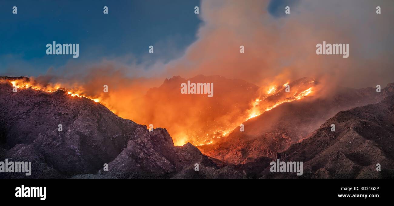 Les flammes du feu Big Horn déchirent les pentes abruptes des montagnes de Santa Catalina au-dessus de Tucson, Arizona Banque D'Images