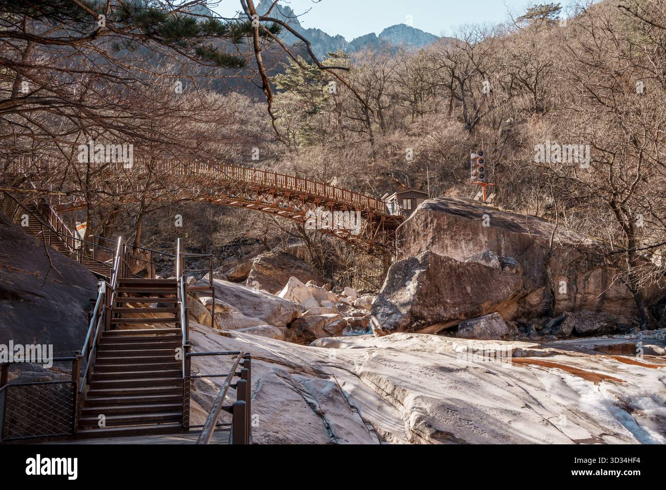 Pont en bois et escalier traversant le paysage rocheux parmi les arbres nus dans le parc national de Seoraksan à la fin de l'automne. Banque D'Images