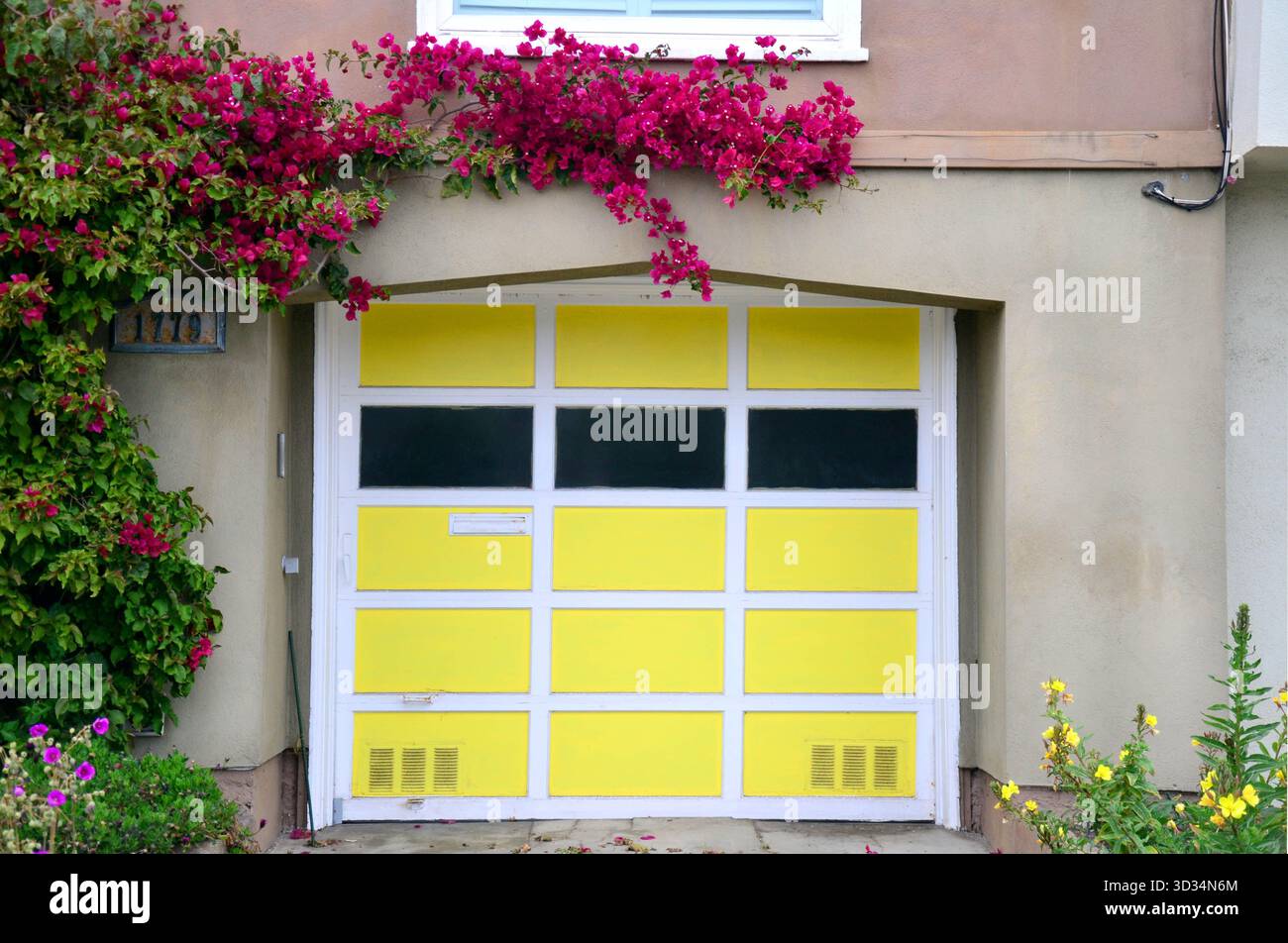 Porte de garage jaune avec des fleurs de bougainvilliers magenta grimpant le mur, bâtiment résidentiel à San Francisco, Californie, États-Unis Banque D'Images
