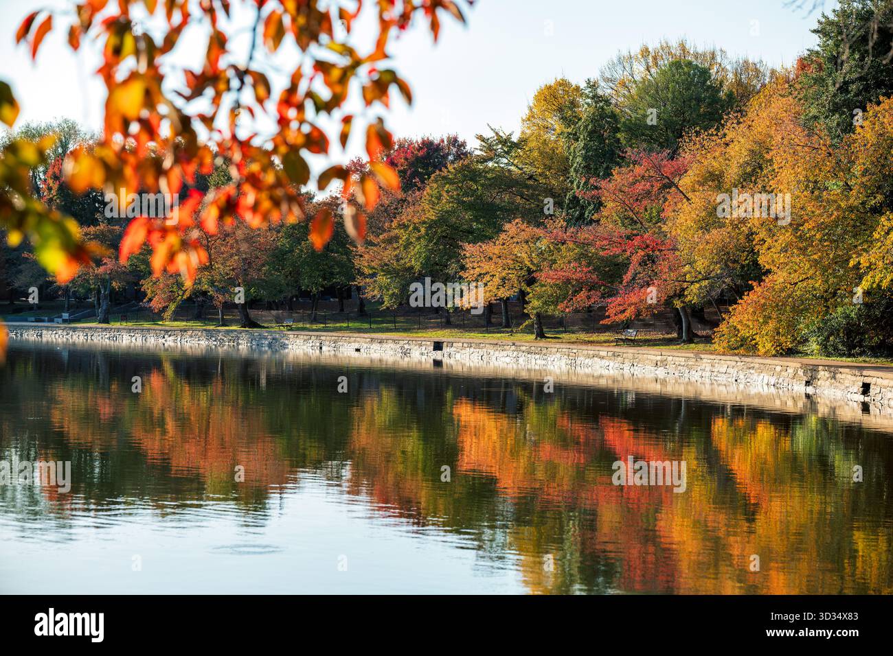 Couleurs d'automne du bassin de marée Washington DC // WASHINGTON DC — les couleurs d'automne ornent les cerisiers et d'autres feuillages feuilletés qui entourent le bassin de marée. Les feuilles d'automne vibrantes se reflètent dans les eaux calmes du réservoir artificiel. Faisant partie du West Potomac Park, le Tidal Basin est un point de repère important de Washington DC. Il est bien connu pour ses cerisiers emblématiques en fleurs au printemps, mais présente également un feuillage automnal saisissant. Le bassin est situé entre le fleuve Potomac et le canal de Washington, entouré de plusieurs monuments nationaux. Banque D'Images