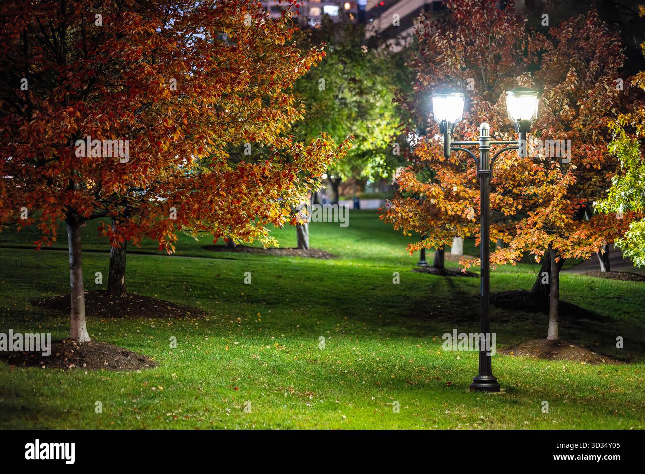 Long Bridge Park Arlington Virginie la nuit // ARLINGTON, VIRGINIE, États-Unis — Un lampadaire illumine les arbres d'automne affichant un feuillage rouge, orange et jaune vif la nuit à long Bridge Park. Ce parc urbain est un espace vert important situé à Arlington, en Virginie, offrant des installations récréatives et des sentiers pédestres. Le parc offre une vue panoramique sur le fleuve Potomac et les gratte-ciel de Washington D.C. C'est une destination populaire pour les résidents et les visiteurs qui cherchent des activités de plein air. Long Bridge Park est un équipement public important dans le Grand Washington D.C. metropoli Banque D'Images