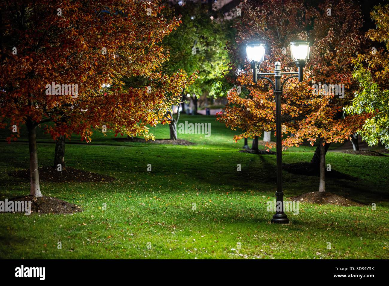 Lampadaire à long Bridge Park Arlington Virginia // ARLINGTON, VIRGINIA — Un lampadaire illumine les arbres affichant un feuillage automnal vibrant à long Bridge Park. Ce parc urbain, situé le long de la rivière Potomac, offre des installations de loisirs et des vues panoramiques sur les gratte-ciel de Washington D.C. Ouvert par phases à partir de 2011, le parc est un important développement d'espace vert avec des terrains de sport, de l'art public et des connexions piétonnes. Les feuilles colorées sur les arbres indiquent la saison d'automne, ajoutant à la beauté naturelle du parc. Banque D'Images