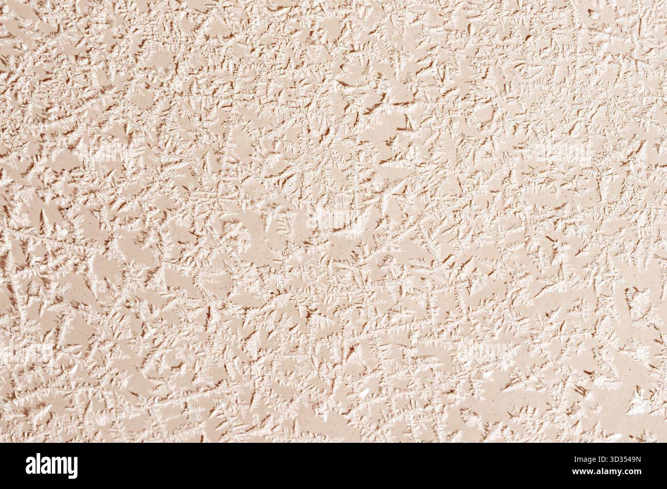 Gros plan d'un mur décoratif en stuc avec une finition grossière, présentant un motif irrégulier et organique sur toute la surface Banque D'Images
