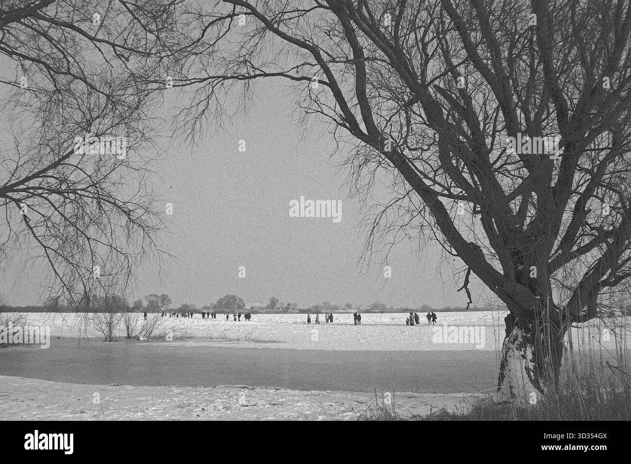 Les gens marchent à travers la patinoire, les arbres, Elbe gelé, Bleckede, basse-Saxe, Allemagne, 9 février 1996, vintage, rétro, vieux, historique Banque D'Images