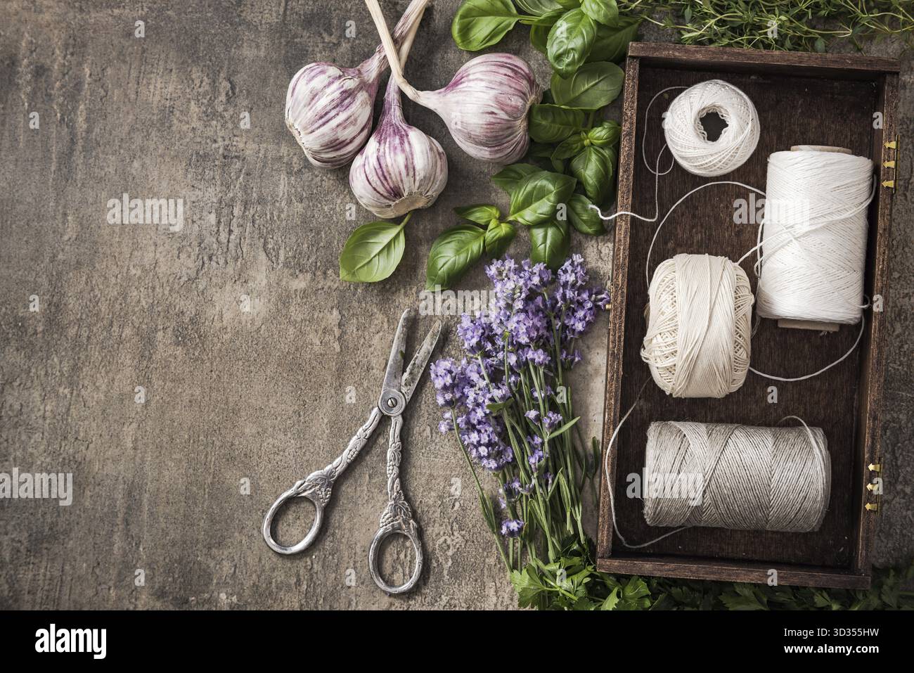 Frais de séchage d'herbes du jardin, vue du dessus sur table ardoise Banque D'Images