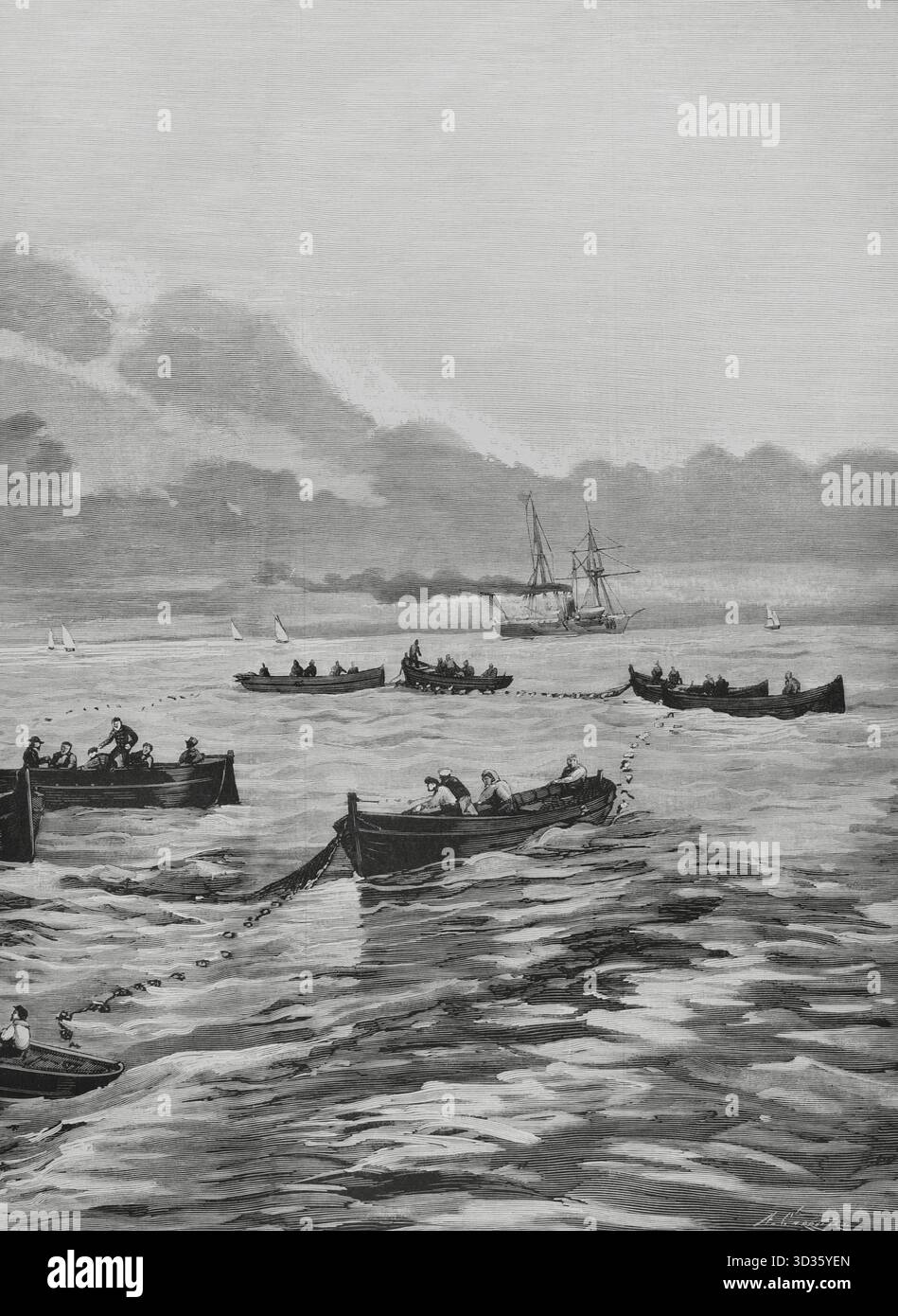 Espagne. Pêche à la sardine au large de la côte galicienne. Dessin de A. de Caula. Gravure d'Arturo Carretero (1852-1903). Détail. L'illustration espagnole et américaine (la Ilustracion Espanola y Americana), 1884. Banque D'Images
