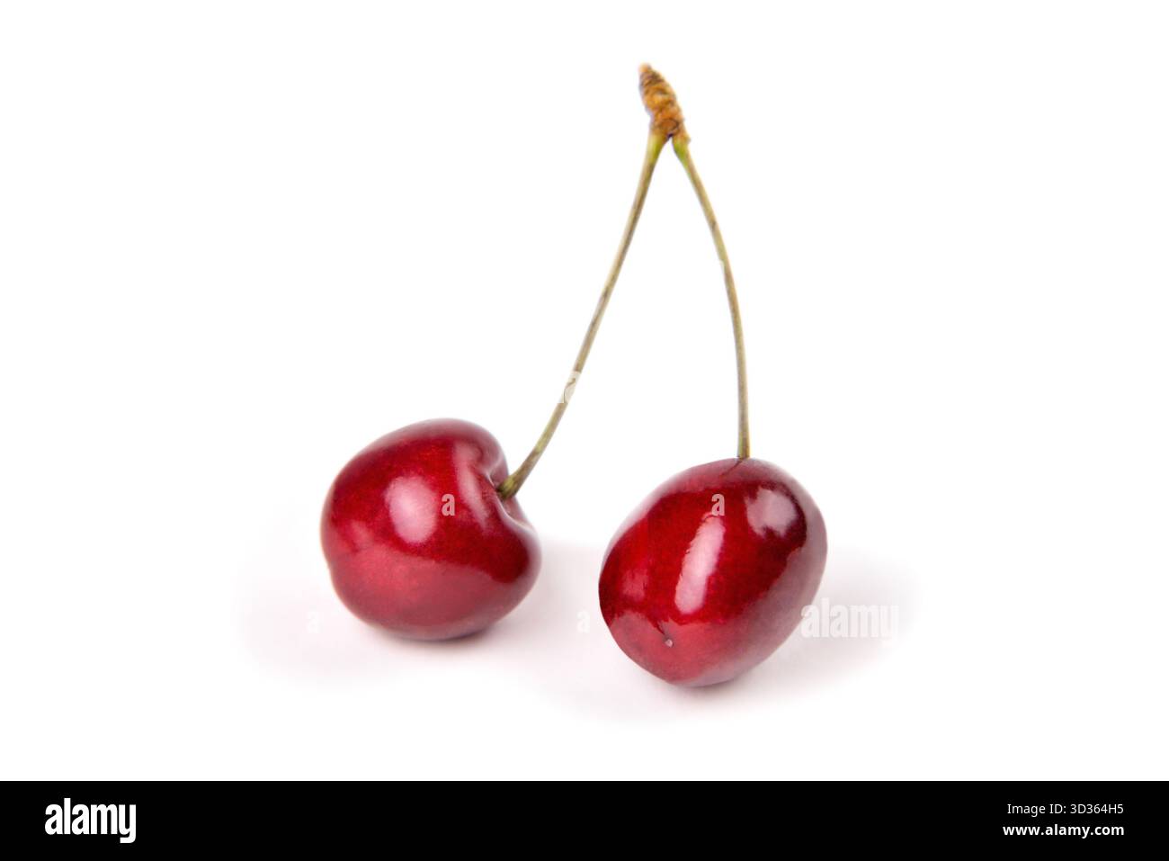 Cerises naturelles mûres, cerises douces sur fond blanc, gros plan sélectif Banque D'Images