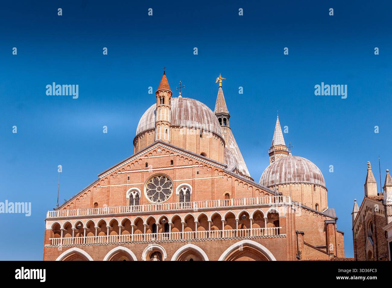Façade et dômes de la basilique Saint Antoine de Padoue, Italie Banque D'Images
