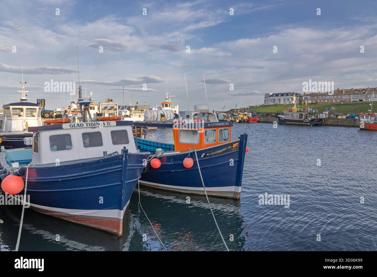 Bateaux amarrés à Seahouses Harbour, Northumberland, Angleterre, Royaume-Uni Banque D'Images