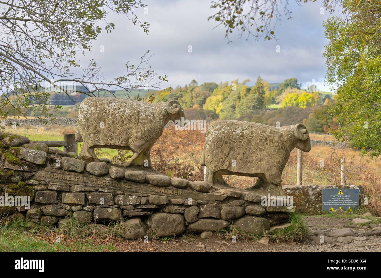 Sculpture de mouton Teasdale , Comté de Durham, Angleterre, Royaume-Uni Banque D'Images