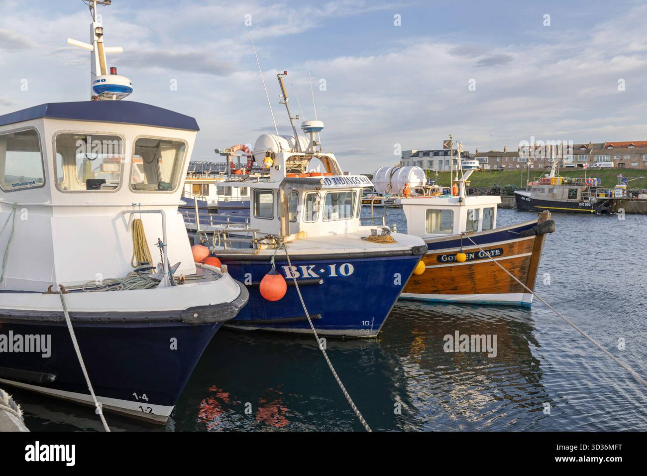Bateaux amarrés à Seahouses Harbour, Northumberland, Angleterre, Royaume-Uni Banque D'Images