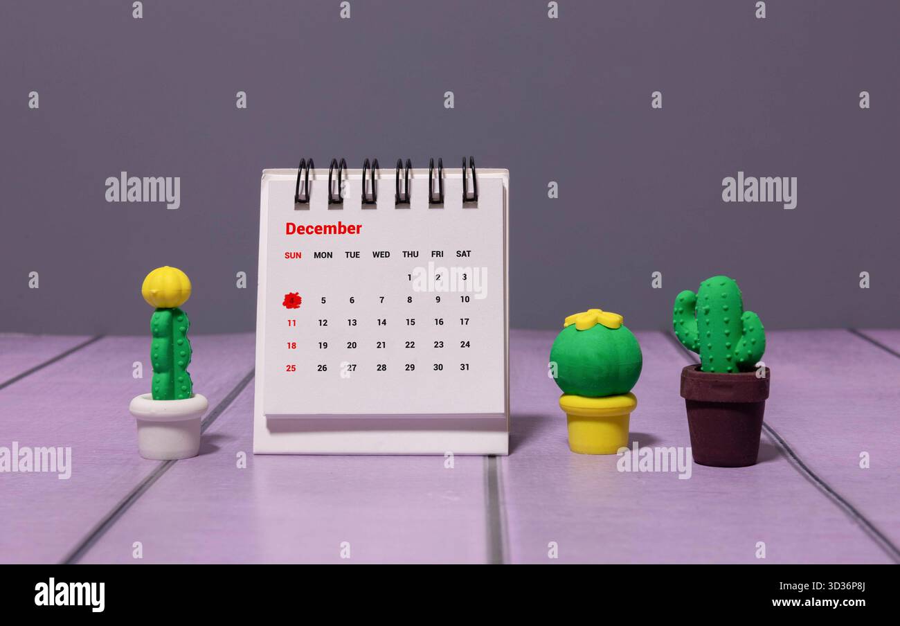 Pot de fleurs et calendrier pour la saison des neiges à partir du 04 décembre. Hiver. Banque D'Images