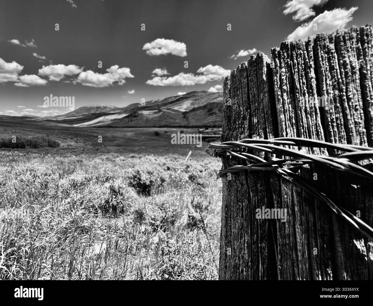 Cette photographie de montagne en noir et blanc à contraste élevé transforme le terrain accidenté en une composition paisible mais spectaculaire utilisant une vieille ligne de clôture. Banque D'Images