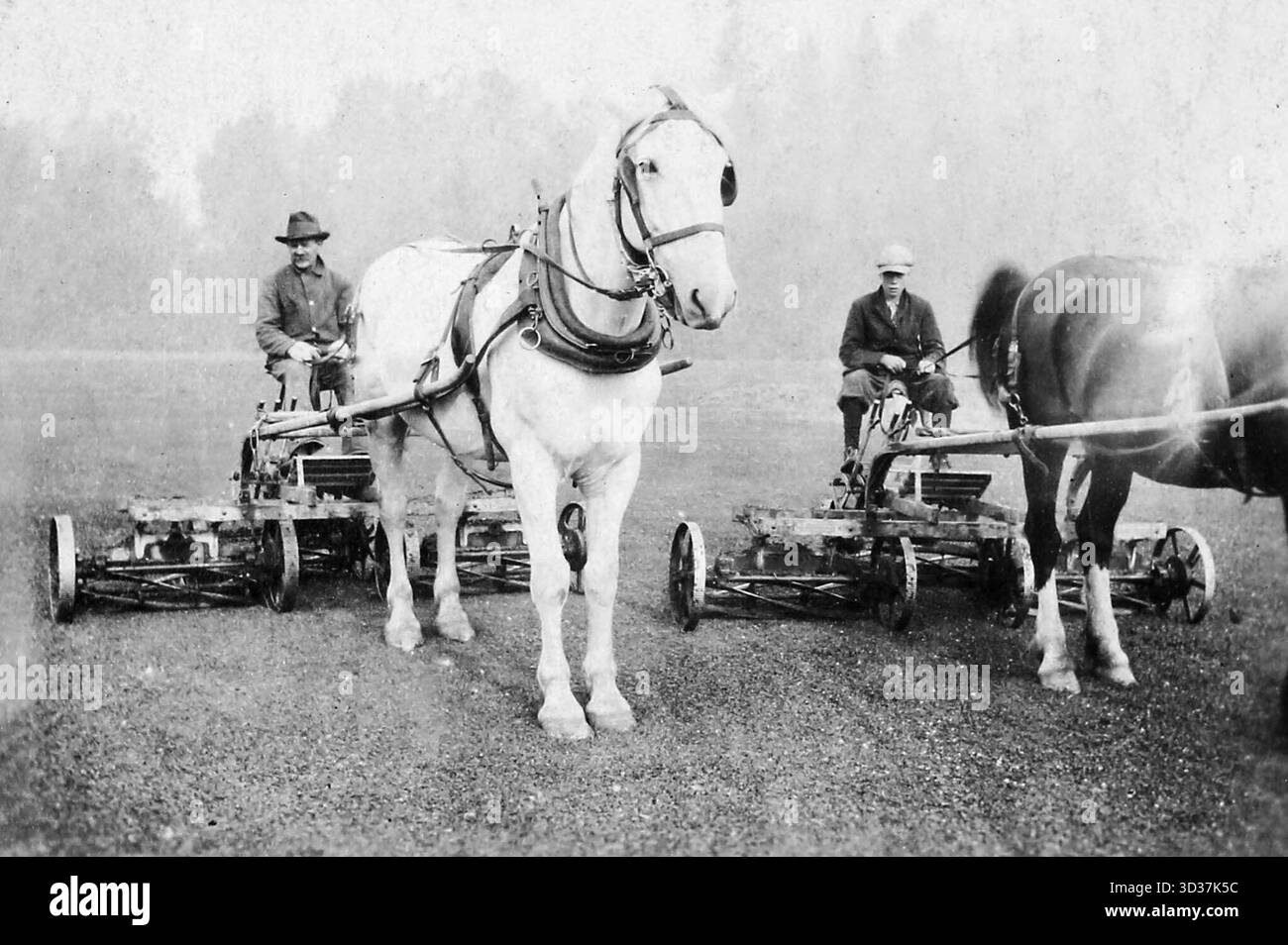 Les tondeuses à gazon à cheval coupent l'herbe aux États-Unis, vers 1915. Banque D'Images