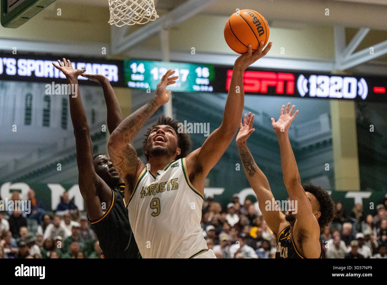 Sacramento, Californie, États-Unis. 4 novembre 2025. L'attaquant des Hornets de Sacramento State Hornets Jeremiah Cherry (9) se dirige vers le panier lors d'un match au Hornet Pavilion le mardi 4 novembre 2025, à Sacramento. (Crédit image : © Paul Kitagaki Jr./ZUMA Press Wire) USAGE ÉDITORIAL SEULEMENT ! Non destiné à UN USAGE commercial ! Banque D'Images