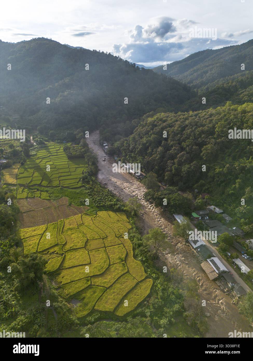 Paisible vue aérienne de la terrasse verdoyante de riz dans la vallée de montagne. rivière sereine coule à travers un paysage naturel magnifique, mettant en valeur de belles campagnes Banque D'Images
