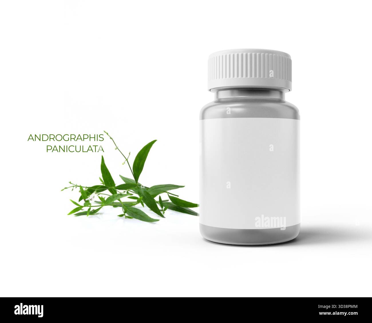 Andrographis paniculata à base de plantes avec pot de médecine est isolé sur un fond blanc Banque D'Images