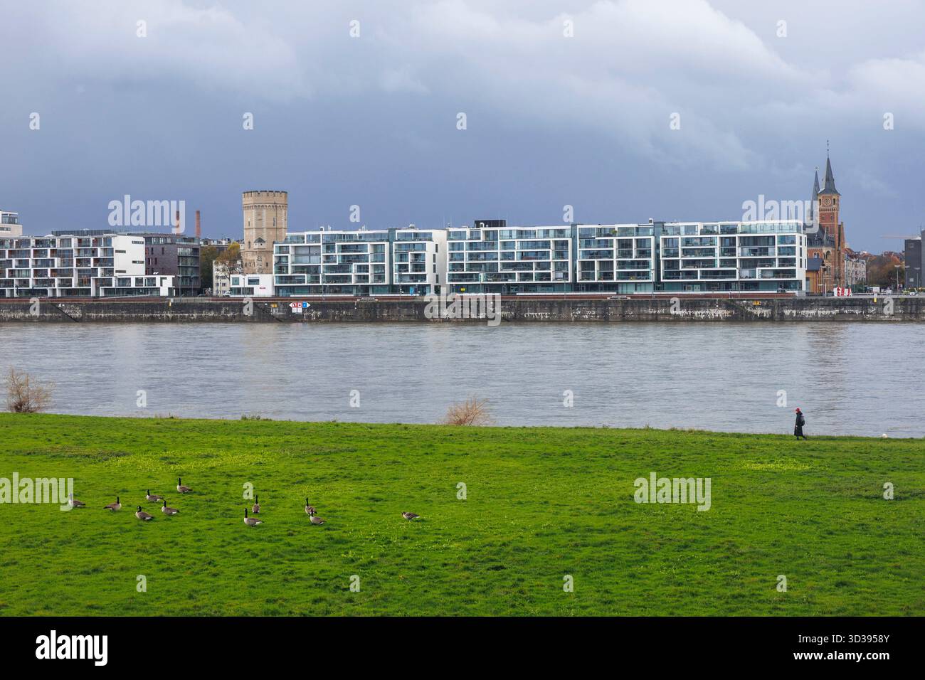 Vue de l'autre côté du Rhin jusqu'à l'immeuble résidentiel Wohnwerft des architectes OXEN und Roemer à la Rheinauhafen, à gauche le Bayentower, o Banque D'Images