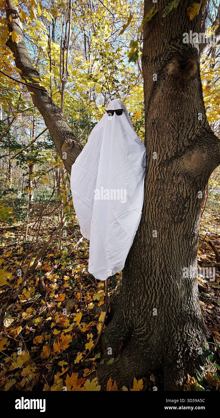 Costume de fantôme solitaire dans la forêt d'automne, esthétique minimaliste d'Halloween, ambiance 2025. Photo de haute qualité Banque D'Images