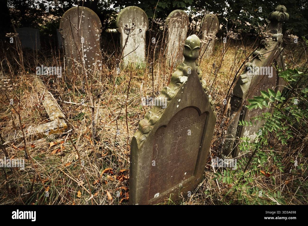 Tombes dans le cimetière envahi par la végétation à Skeffling, East Riding of Yorkshire. Banque D'Images