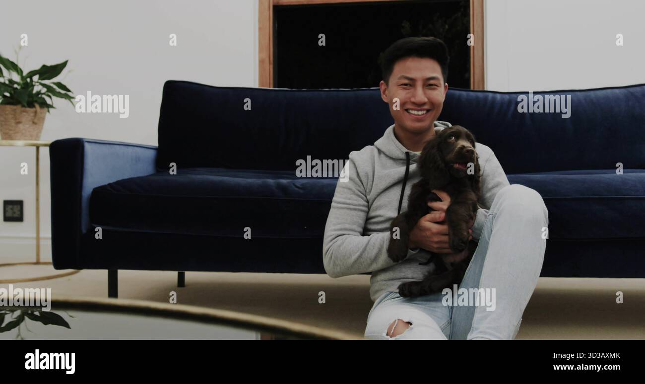 Tenant petit chiot brun tout en étant assis sur un tapis dans le salon, canapé en velours, espace de copie Banque D'Images