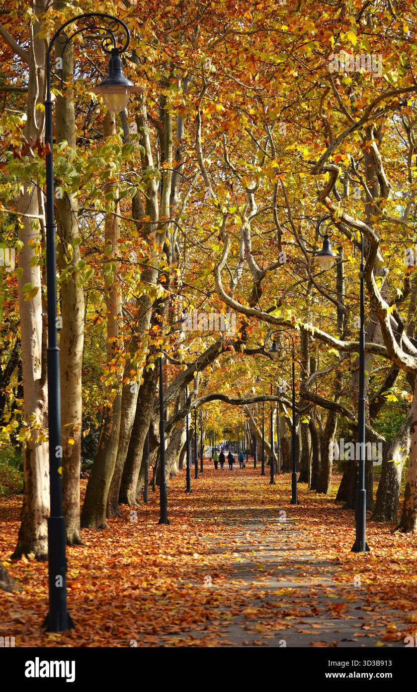Promenade d'automne dans Helikon Park, Keszthely, Hongrie Banque D'Images