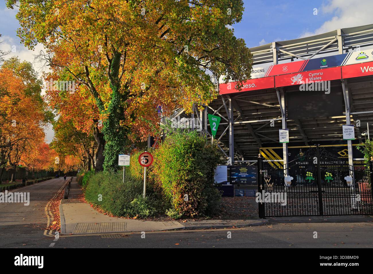Stade de cricket de Sophia Gardens, Sophia Gardens, Cardiff, Galles du Sud, Royaume-Uni. Banque D'Images