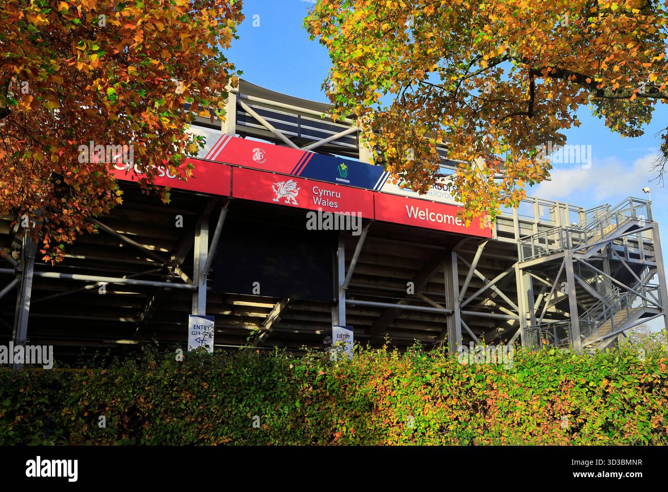Stade de cricket de Sophia Gardens, Sophia Gardens, Cardiff, Galles du Sud, Royaume-Uni. Banque D'Images