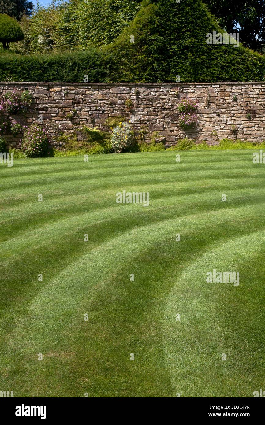 pelouse rayée wisley surrey angleterre Banque D'Images