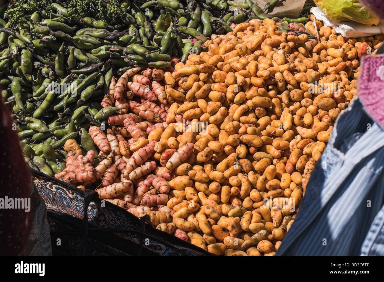 Étal de marché local présentant des pommes de terre andines et des haricots verts indigènes à Huancayo, Pérou. Banque D'Images