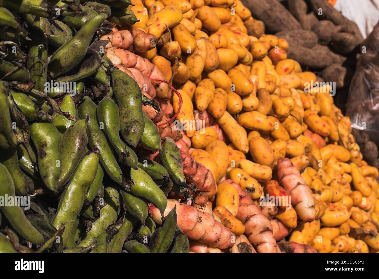 Gros plan de pommes de terre et de haricots indigènes des Andes en vente sur un marché local à Huancayo, au Pérou. Banque D'Images