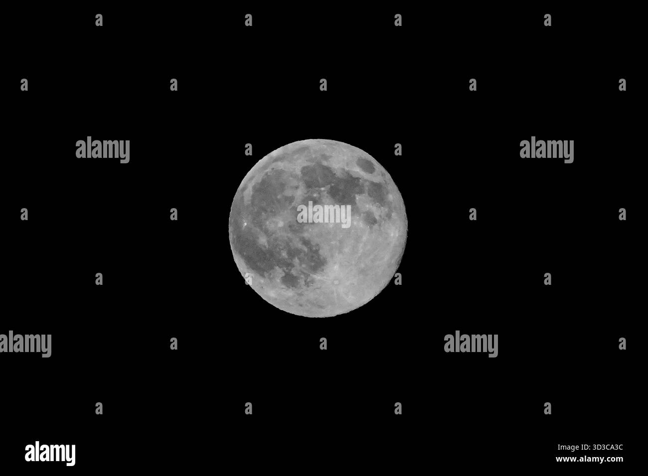 Riehen, Suisse, 5 novembre 2025 : la Supermoon se lève au-dessus de Riehen, Suisse, le 5 novembre 2025. La lune apparaît significativement plus grande et b Banque D'Images