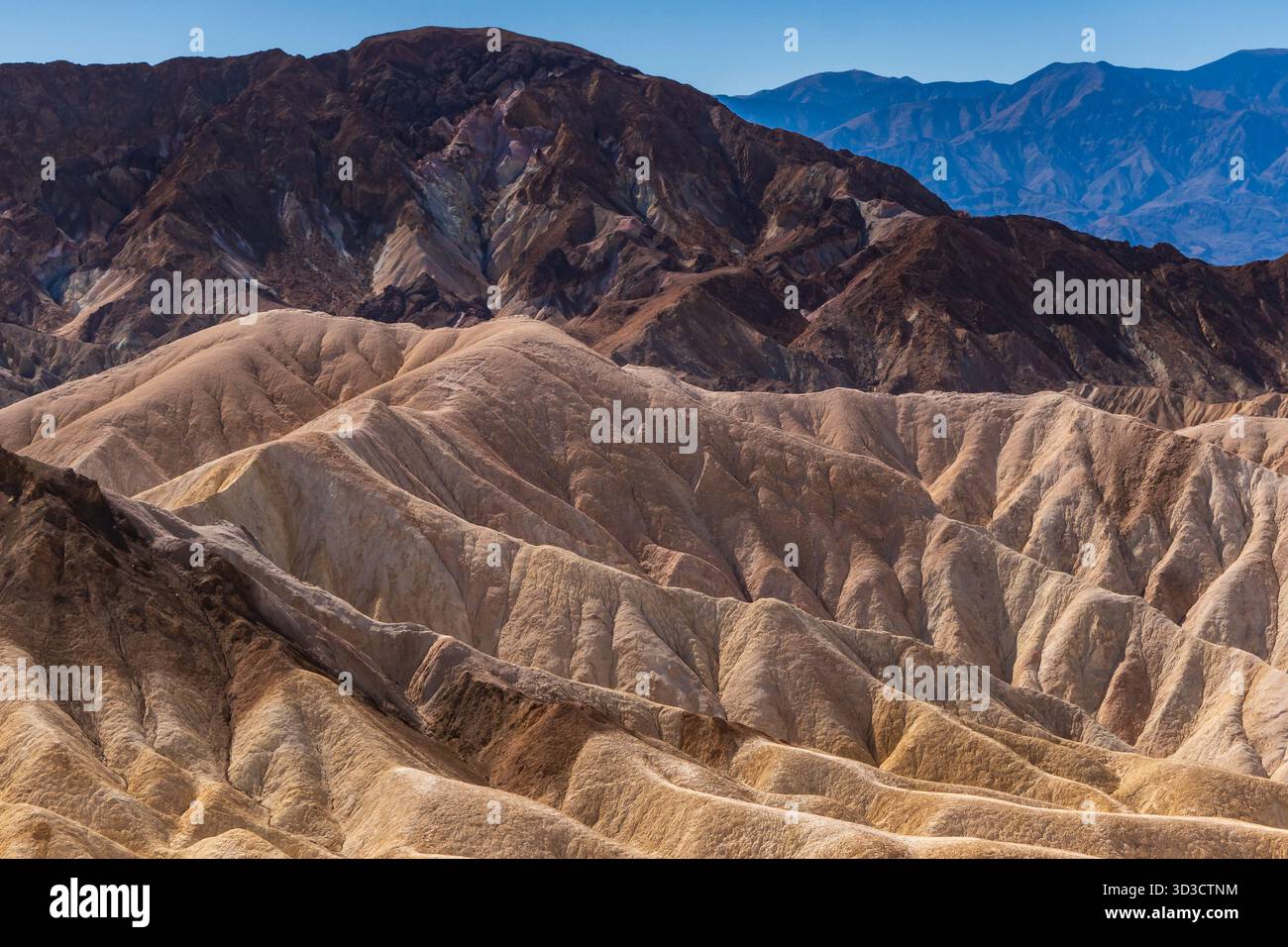 Zabriskie Point, Death Valley National Park, en Californie. Banque D'Images