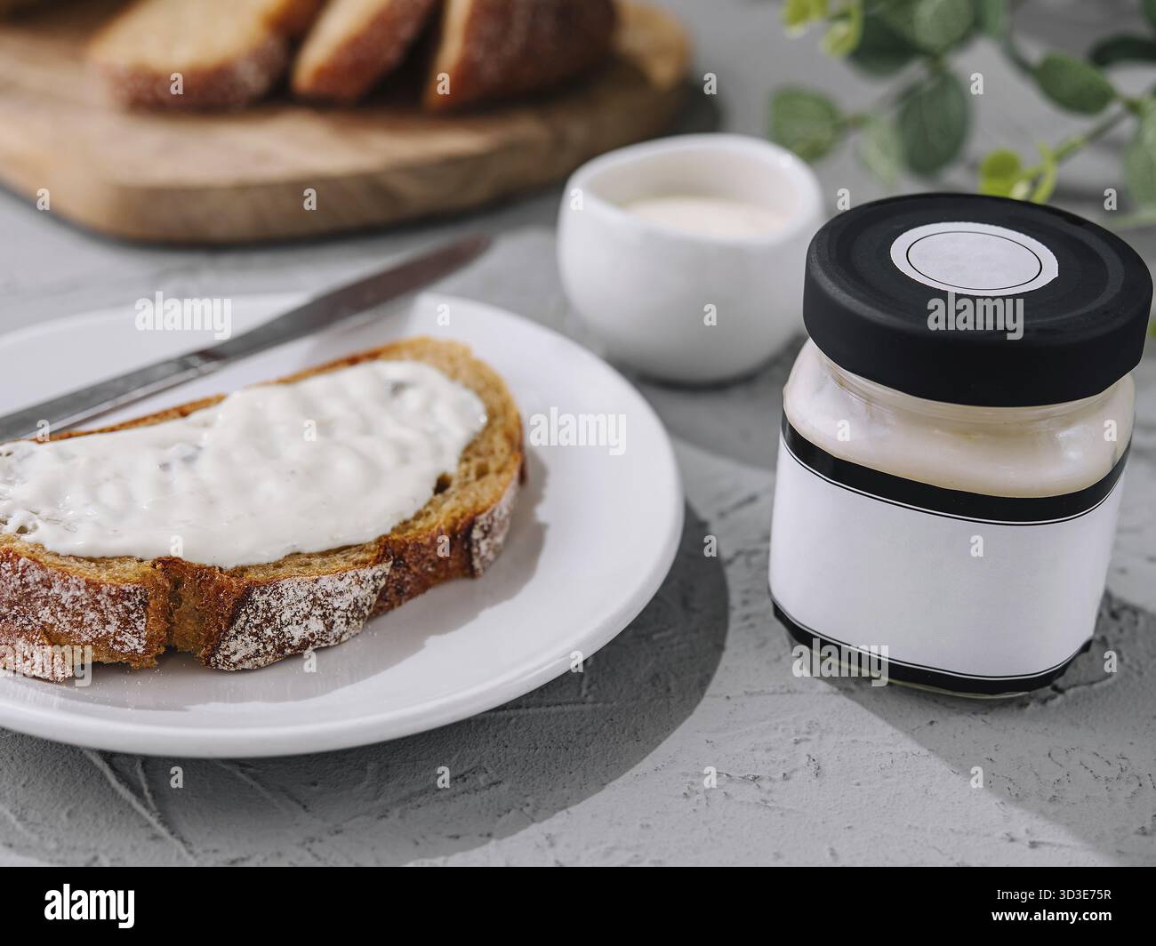Nourriture, sandwich avec fromage ricotta sur assiette Banque D'Images
