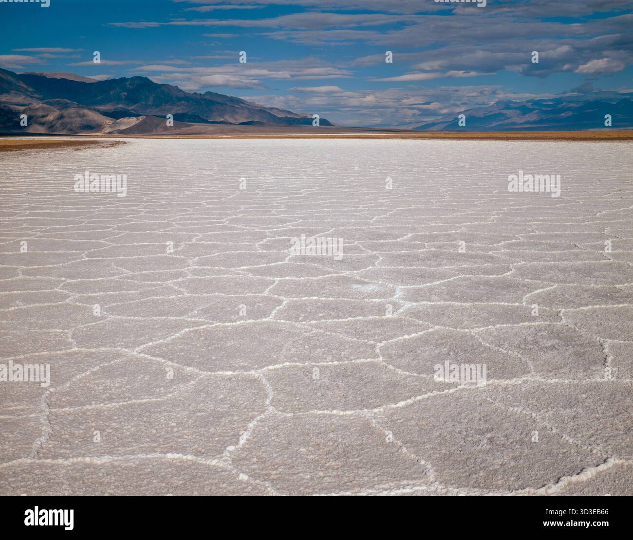 Salt Flats, Death Valley National Park, Californie Banque D'Images