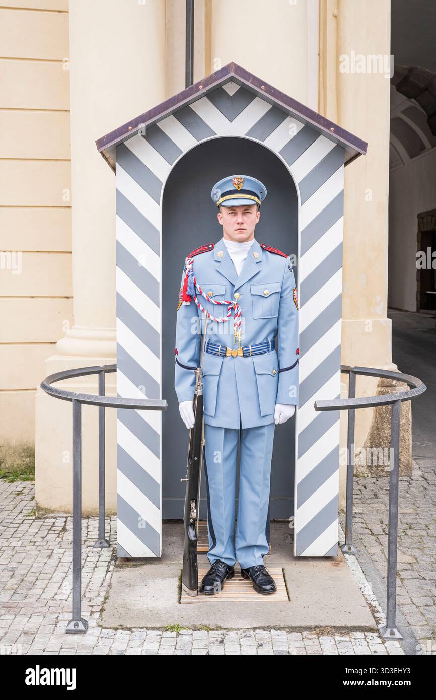 La Garde du Château de Prague garde et défend le siège du Président de la République tchèque au Château de Prague. Banque D'Images