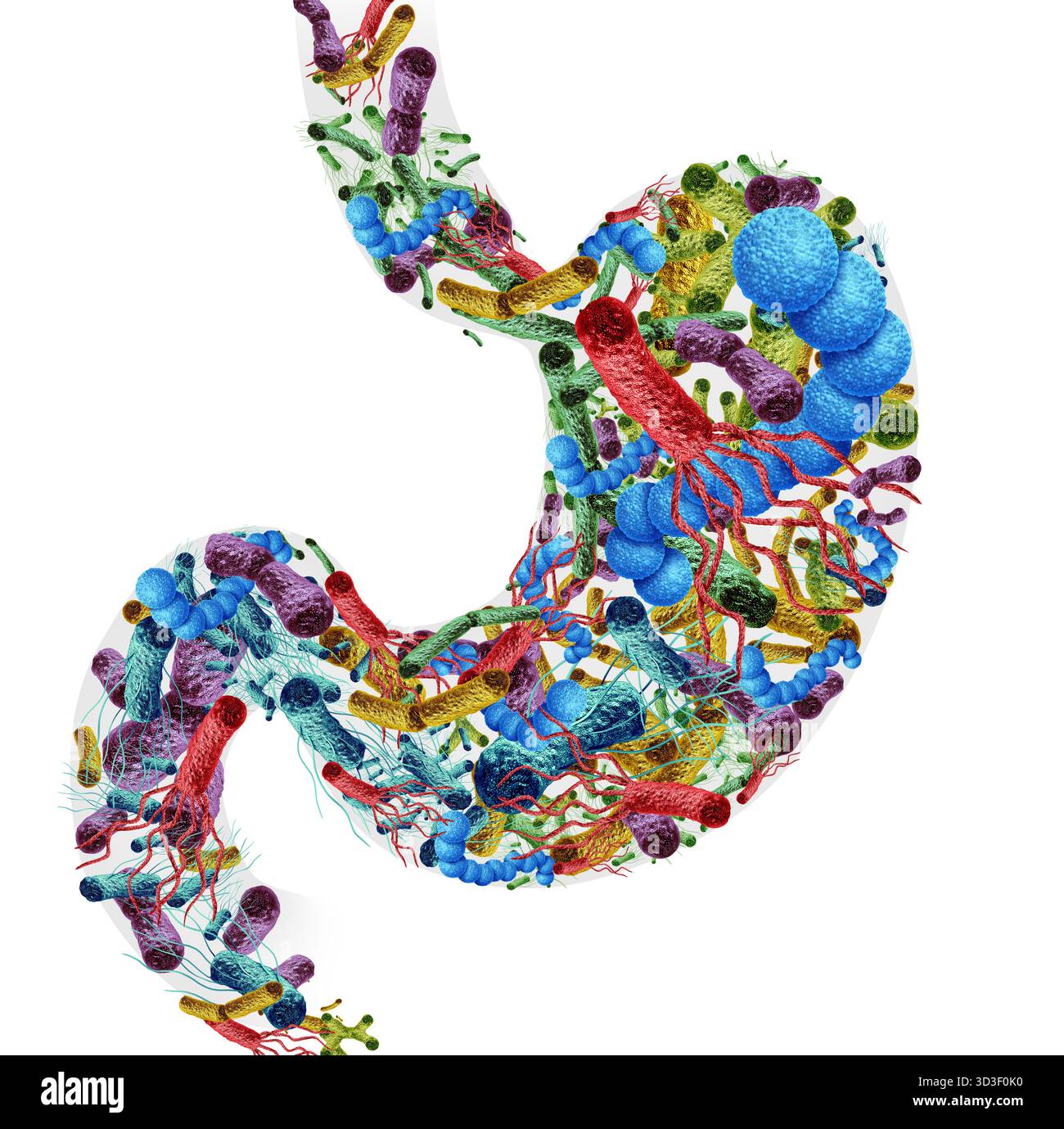 Microbiome et intestin Microbiote bonnes et mauvaises bactéries dans l'estomac comme bactérie probiotique à l'intérieur du corps comme microflore digestive dans le côlon ou bowe Banque D'Images