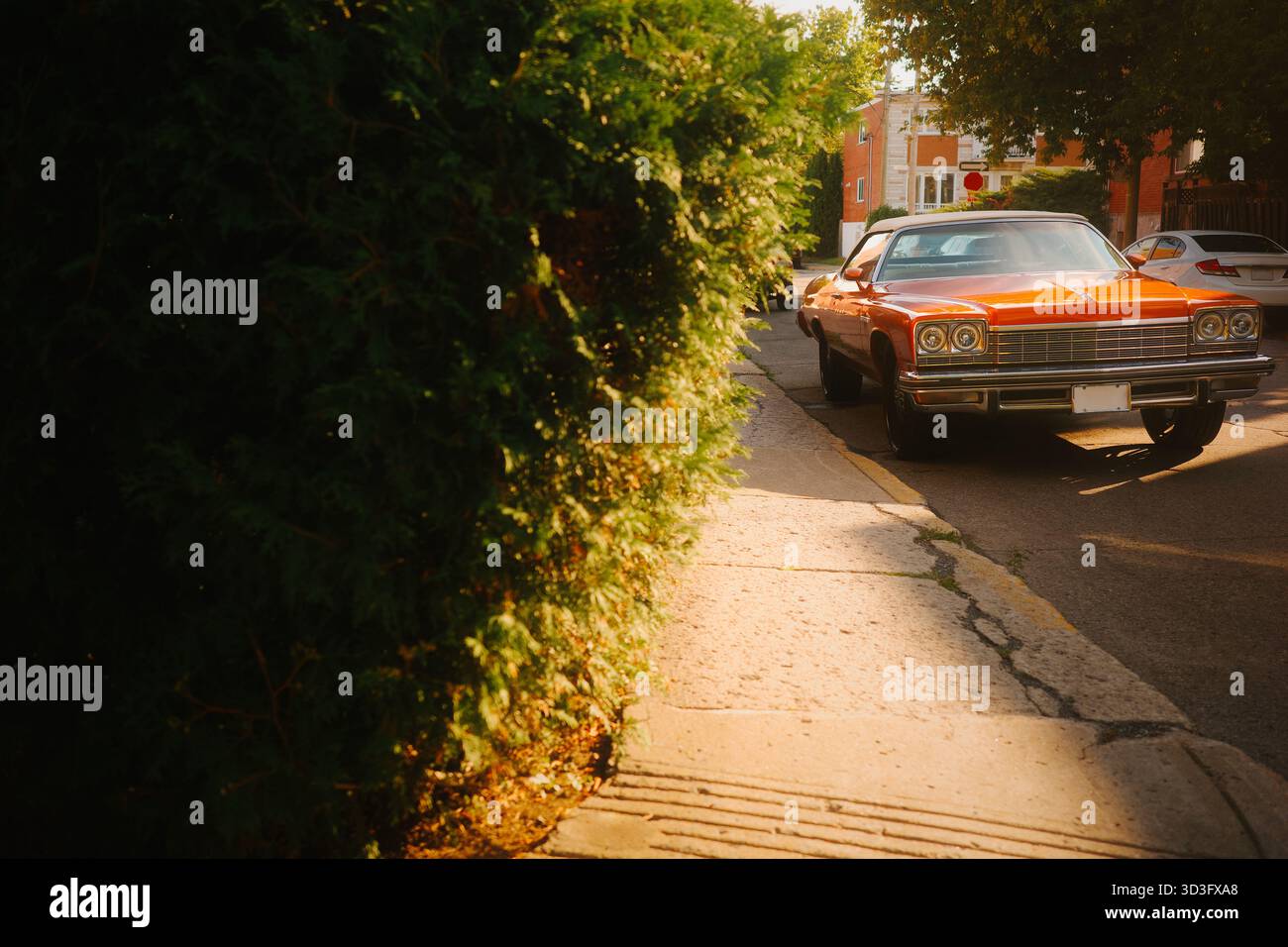 Une voiture cabriolet orange classique est garée dans une rue ensoleillée, mettant en valeur son design vintage et ses lignes épurées. La charmante scène reflète l'automo rétro Banque D'Images