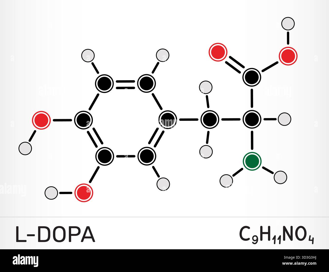 L-DOPA, molécule de lévodopa, précurseur biochimique de la dopamine et d’autres neurotransmetteurs catécholamines, utilisés dans le traitement de la maladie de Parkinson. Vecteur il Illustration de Vecteur