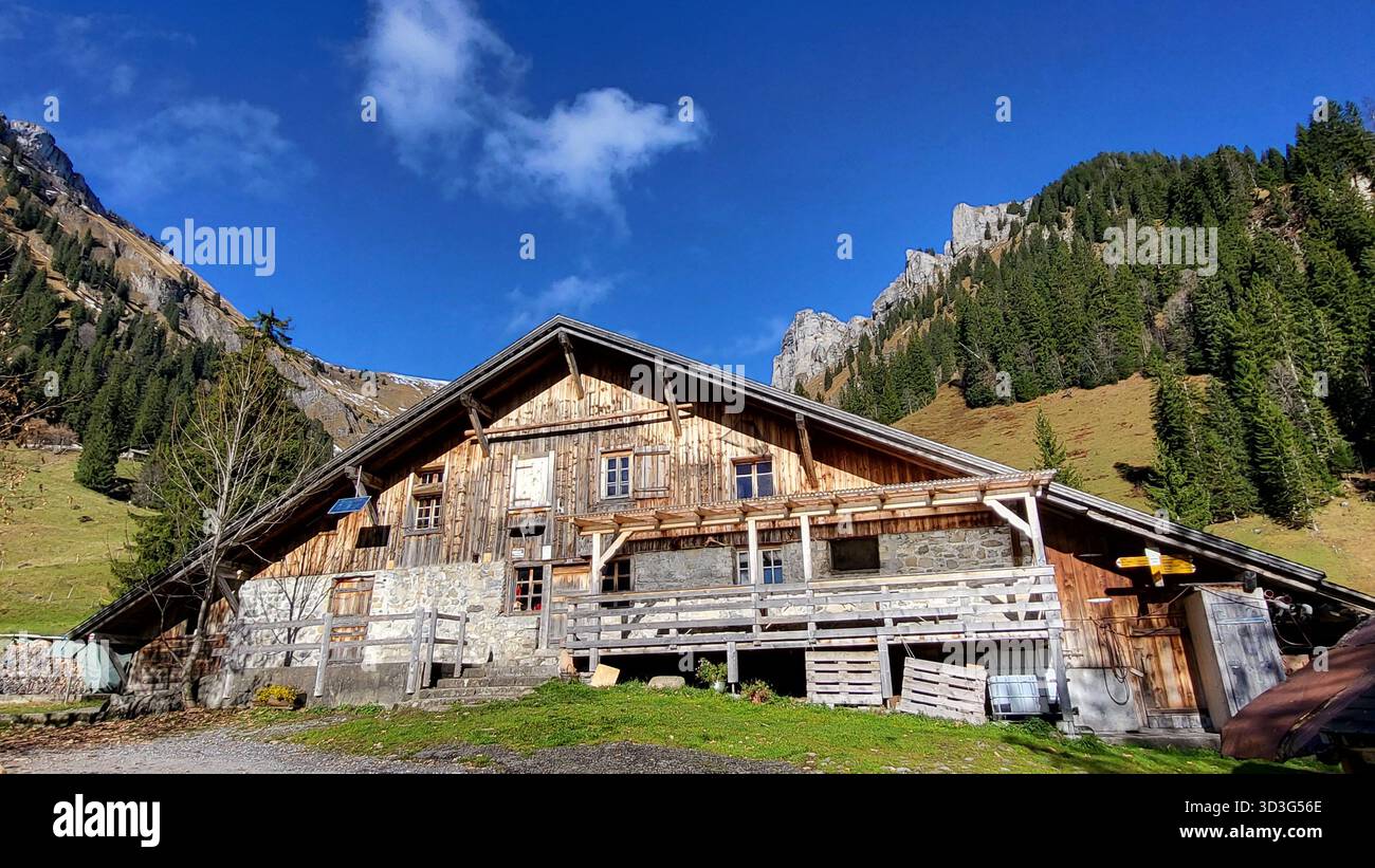 Une charmante scène alpine dans les montagnes suisses avec une cabane traditionnelle en bois entourée de sapins verts luxuriants, Suisse Banque D'Images