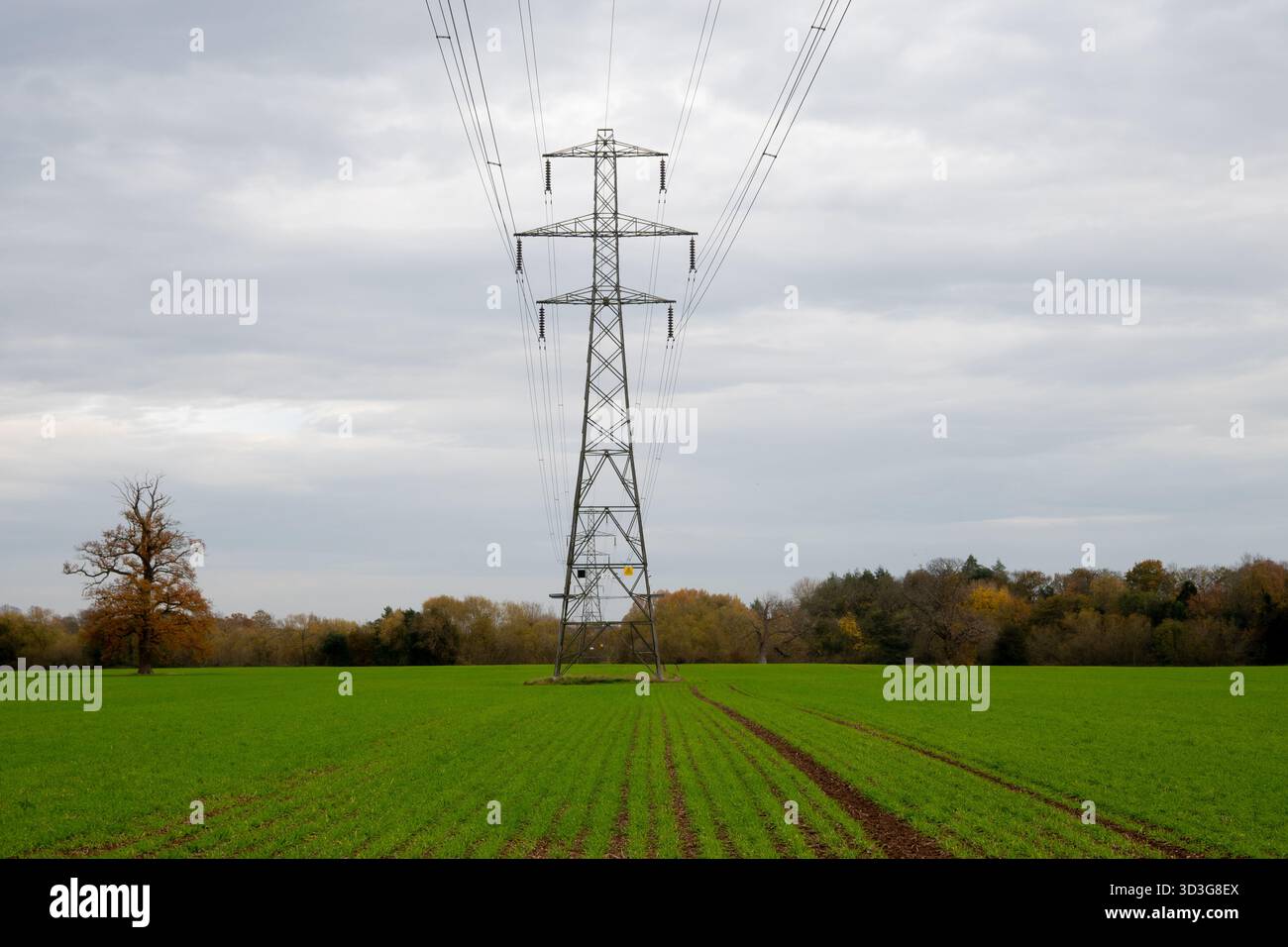 Pylônes électriques dans les terres agricoles, Old Milverton, Warwickshire, Angleterre, Royaume-Uni Banque D'Images