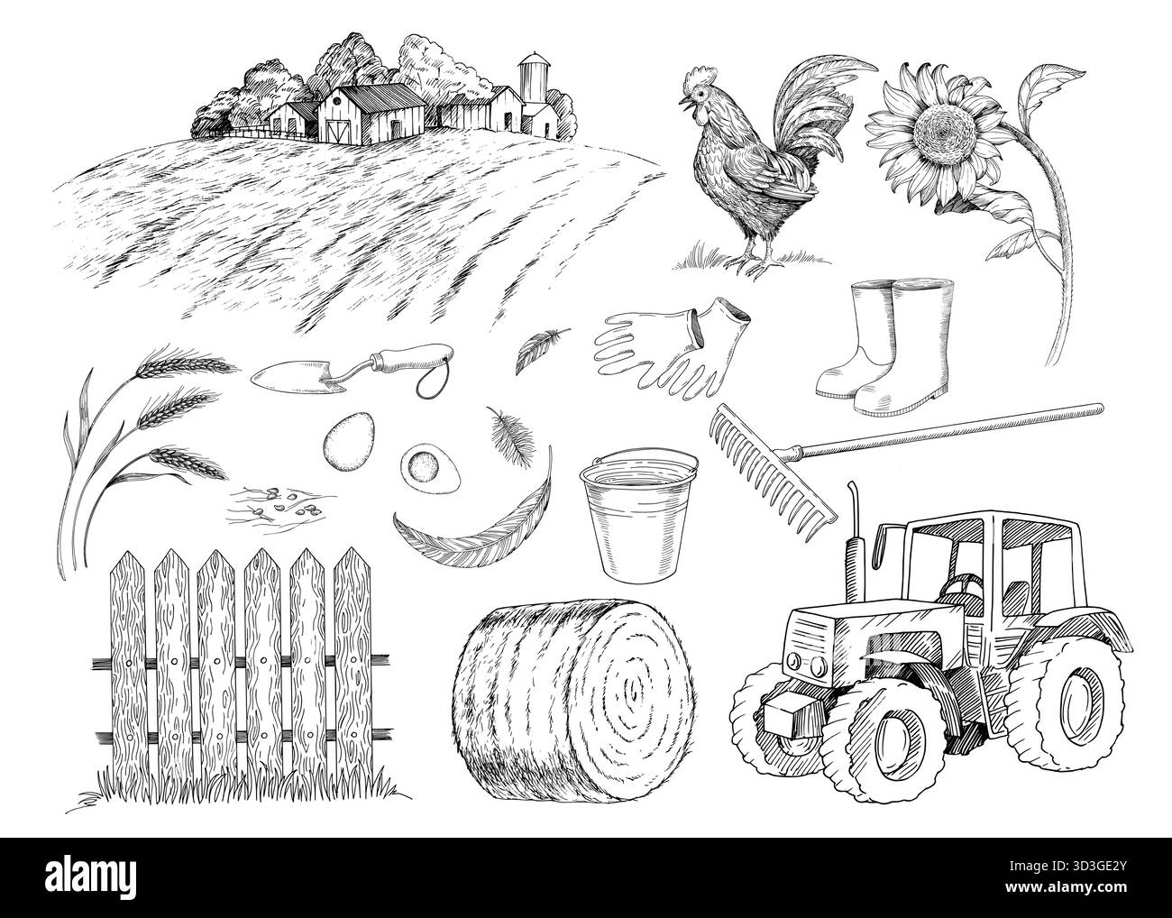 Ensemble d'illustrations de ferme rurale. Objets d'encre vectorielle, blé, graines, coq, oeufs, plumes, tournesol, paysage, clôture, botte de foin, tracteur, godet Illustration de Vecteur